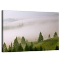 Summer Mist Over Green Hills Wall Art