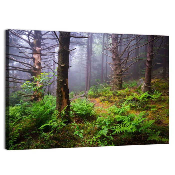 Misty Spruce-fir Trail Wall Art as a canvas print