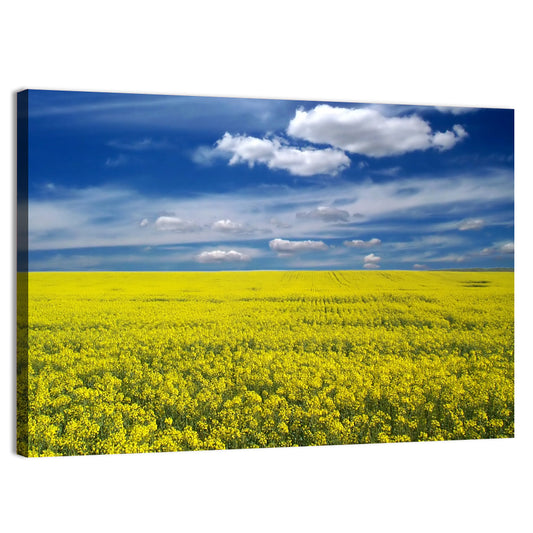 Sunlit Canola Field Wall Art
