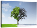 Split Seasons Tree Wall Art