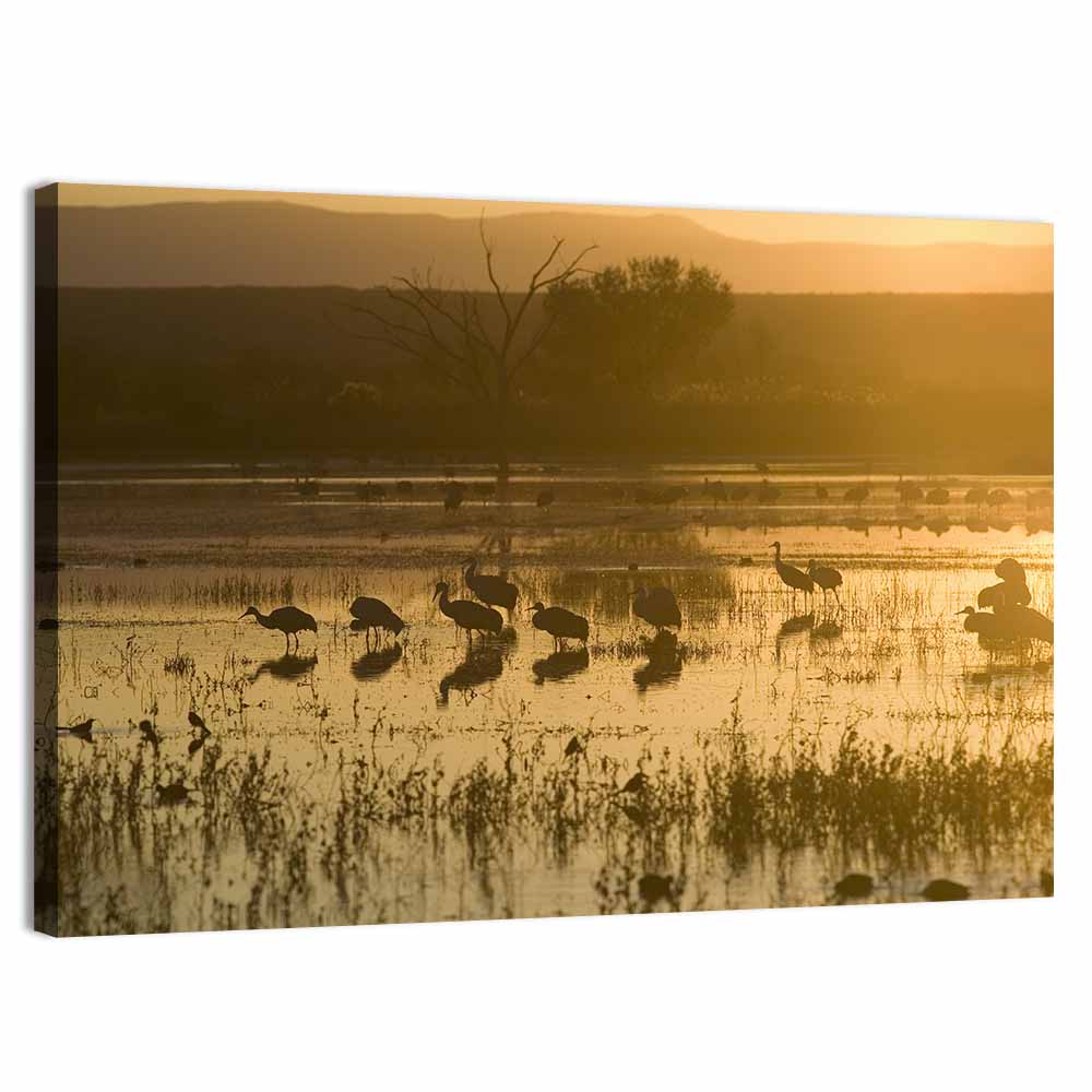 Golden Hour Sandhill Cranes on Lake Wall Art