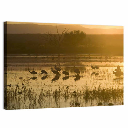 Golden Hour Sandhill Cranes on Lake Wall Art