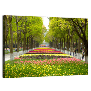 Tulips Garden Wall Art