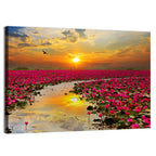 Golden Hour Lotus Field Wall Art