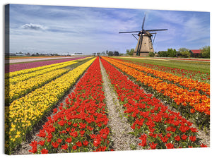 Colorful Tulip Farm Wall Art