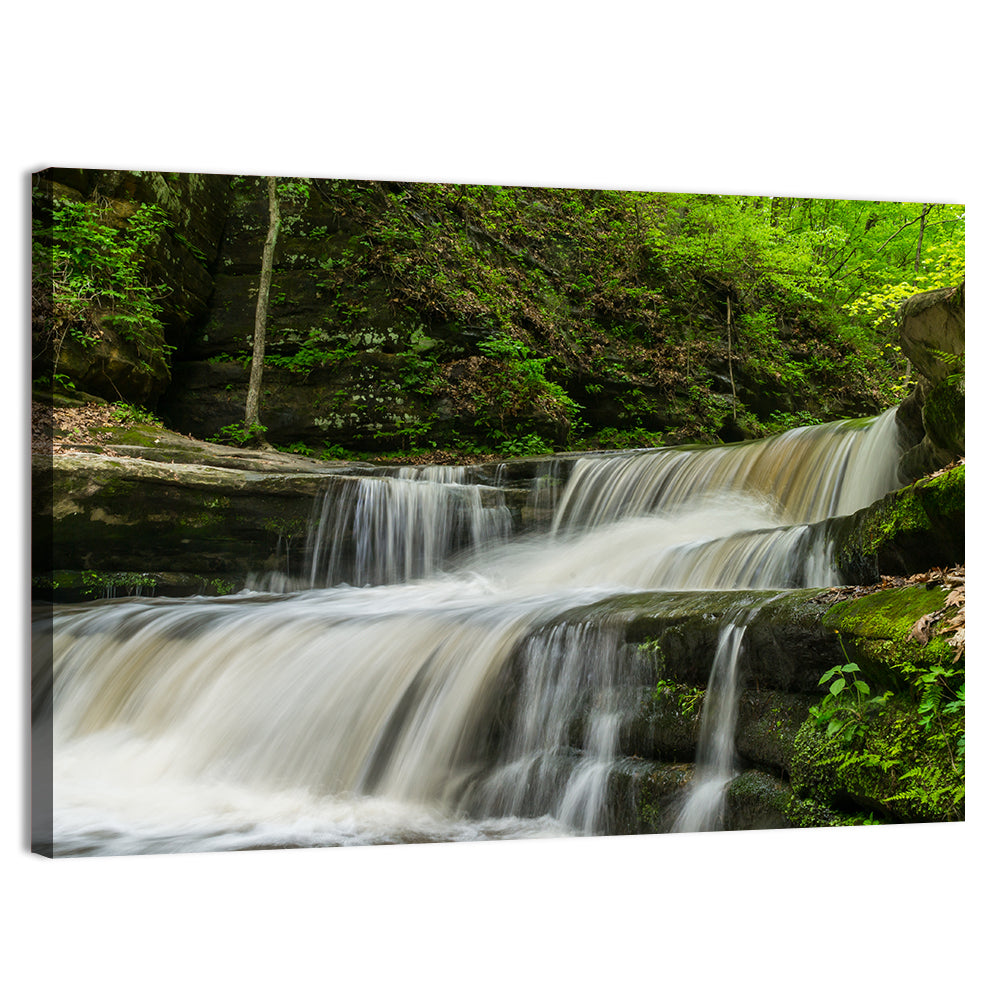 Matthiessen Forest Cascade Wall Art, canvas print, landscape
