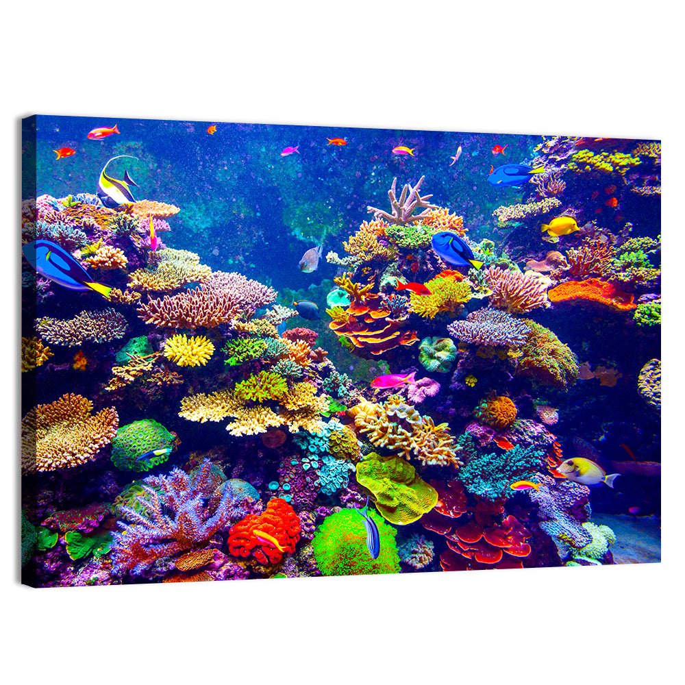 Tropical Coral Reef Aquarium Wall Art