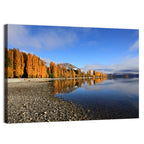 Lake Wanaka Golden Reflection Wall Art