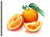 Orange Fruit Wall Art