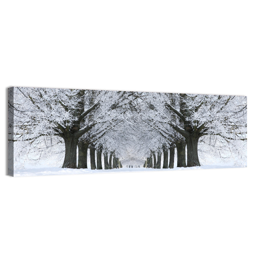 Snow-covered Tree Alley Wall Art