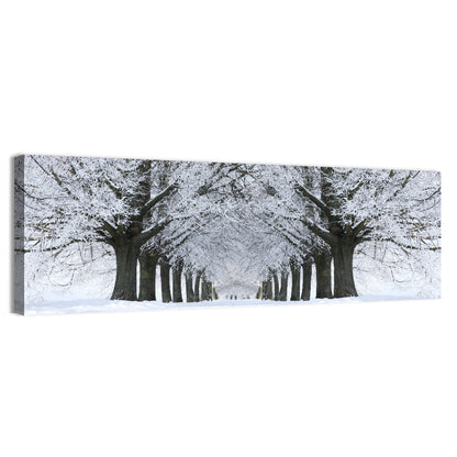 Snow-covered Tree Alley Wall Art