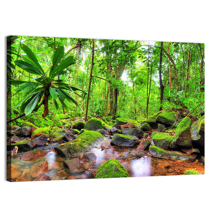 Mossy Rainforest Stream Wall Art