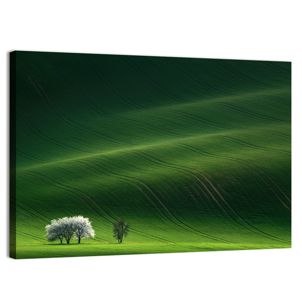 Emerald Hills with Blossoming Tree Wall Art, canvas print, landscape