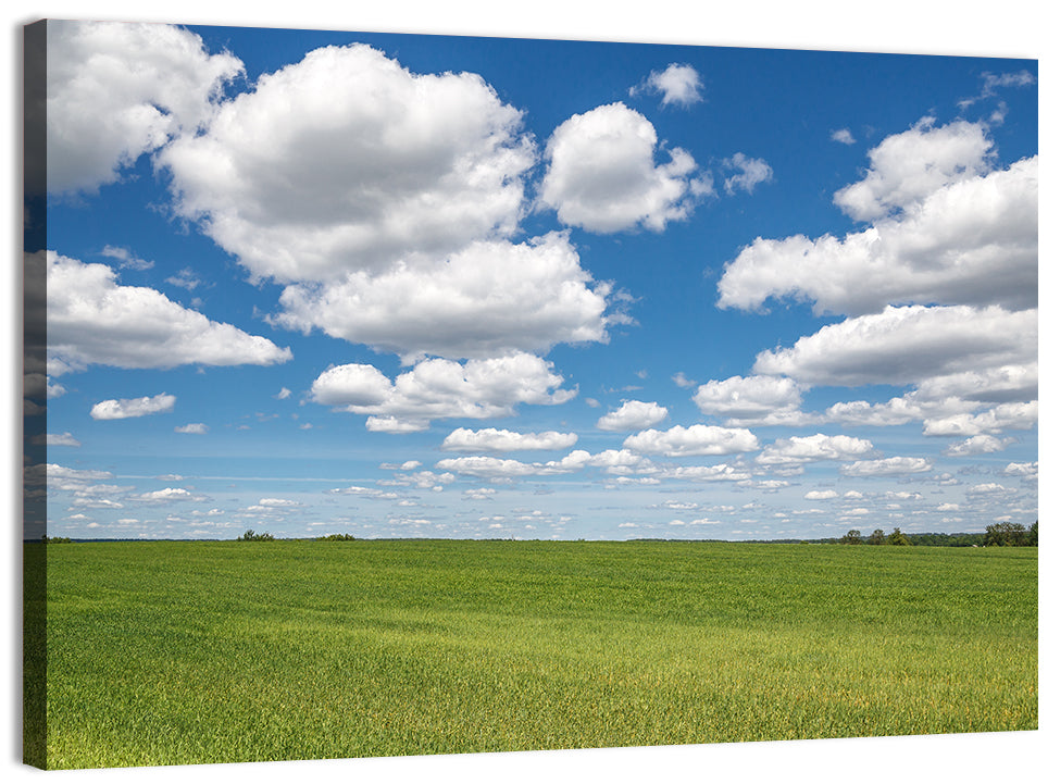 Cloud Filled Sky Over Meadow Wall Art, canvas print, landscape
