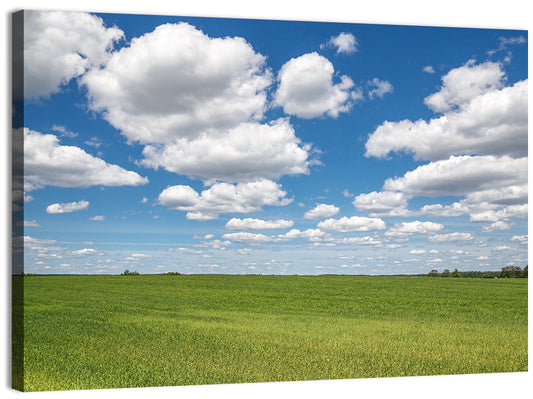 Cloud Filled Sky Over Meadow Wall Art