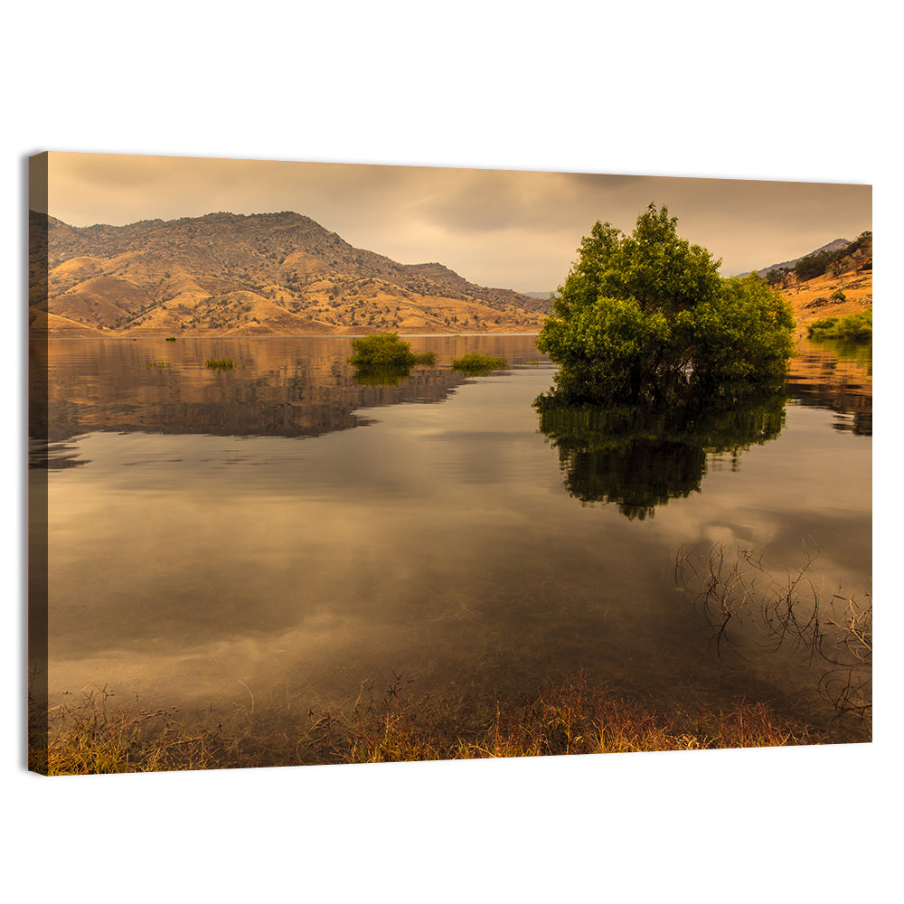 Lake Kaweah Golden Hour Reflection Wall Art