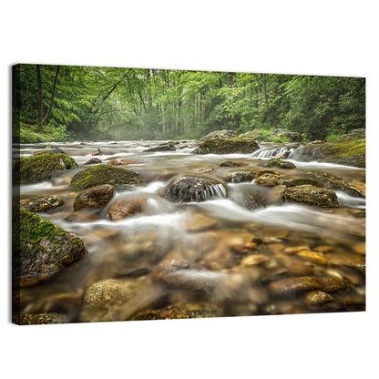 Forest Creek, North Carolina Wall Art