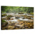 Forest Creek North Carolina Wall Art