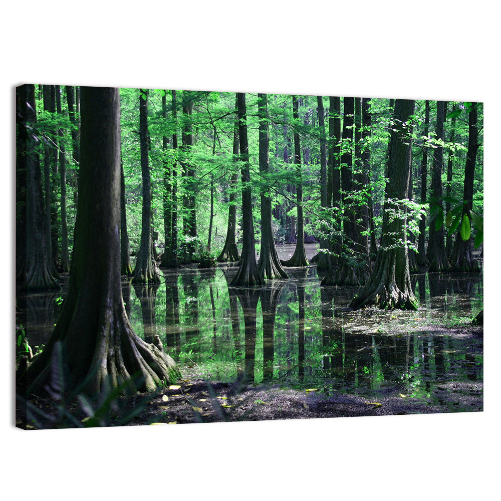 Congaree Swamp Reflection Wall Art
