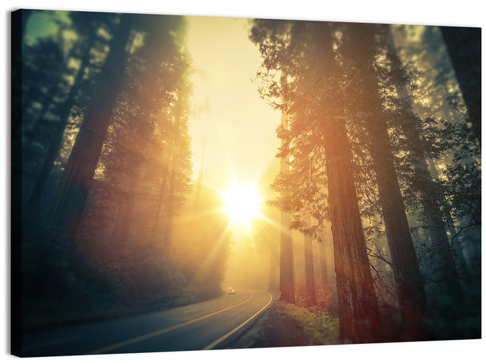 Misty Redwood Road with Golden Sunburst Wall Art as a canvas print