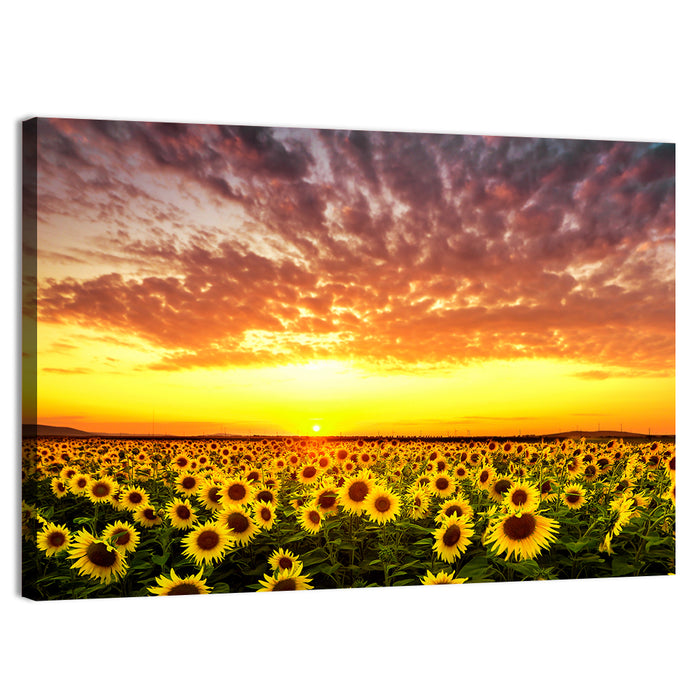 Golden Hour Sunflower Field Wall Art as a canvas print