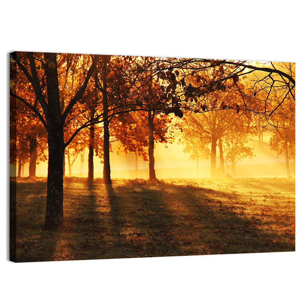 Autumn Sunbeams Through Fog Wall Art, canvas print, landscape