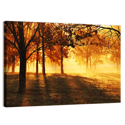 Autumn Sunbeams Through Fog Wall Art