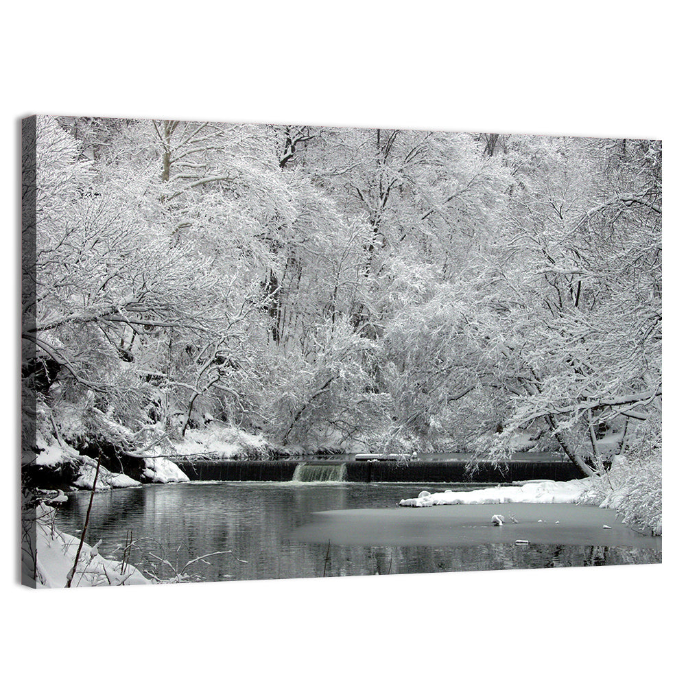 Fairmount Park Winter Spillway Wall Art