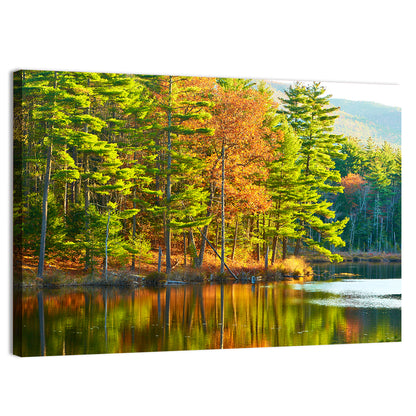 White Mountain National Forest Reflection Wall Art