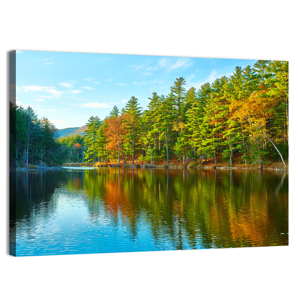 White Mountain Forest Reflections Wall Art
