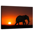 Sunset Elephant Silhouette Wall Art