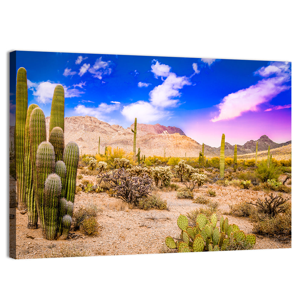 Arizona Saguaro Sunset Wall Art