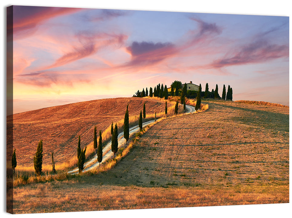 Tuscan Hilltop Road at Dusk Wall Art