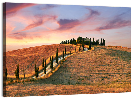 Tuscan Hilltop Road at Dusk Wall Art