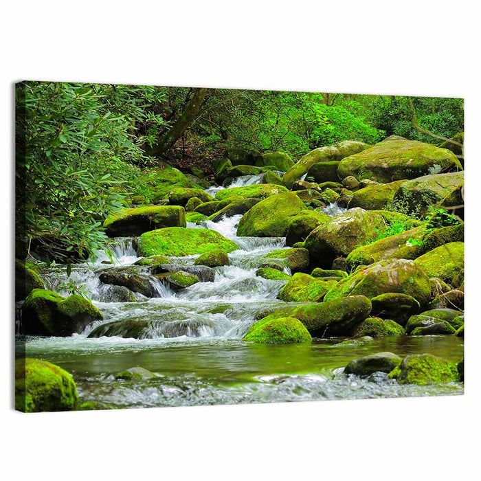 Cascading Mountain Stream Wall Art as a canvas print