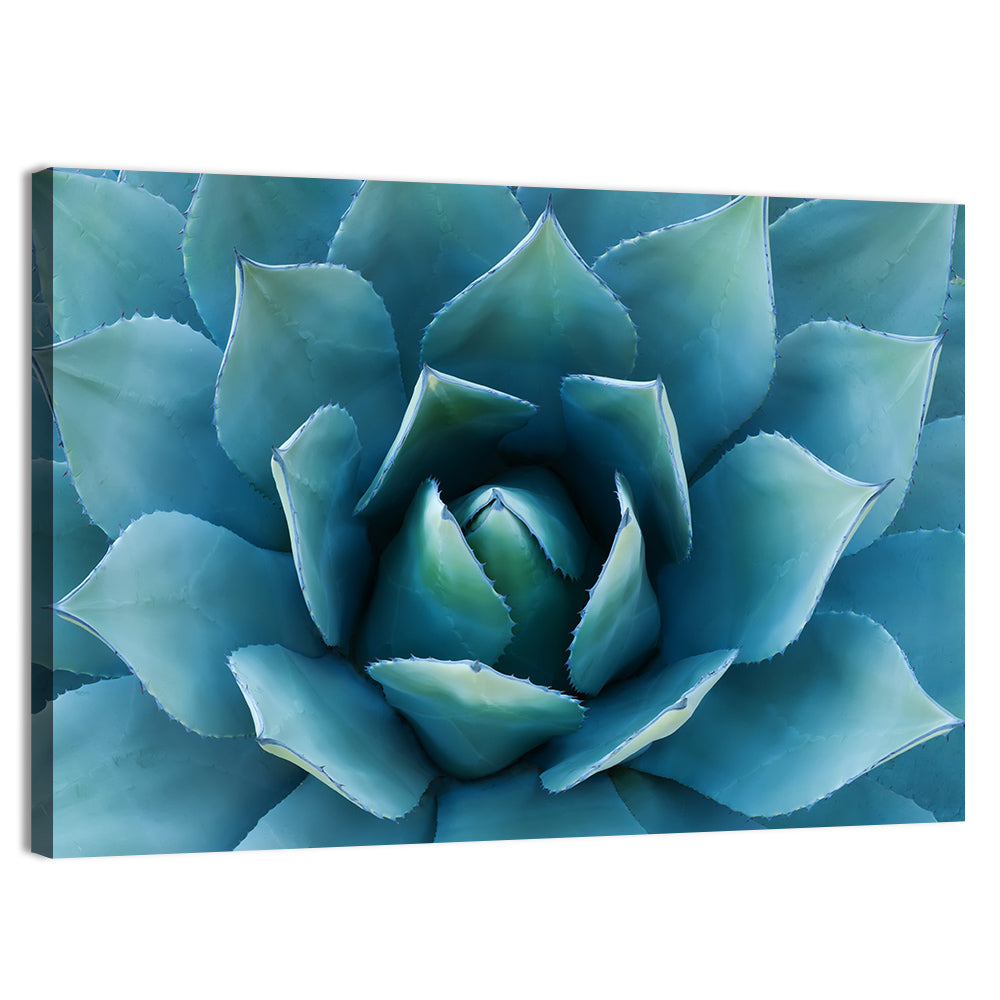 Spiral Agave Macro Wall Art