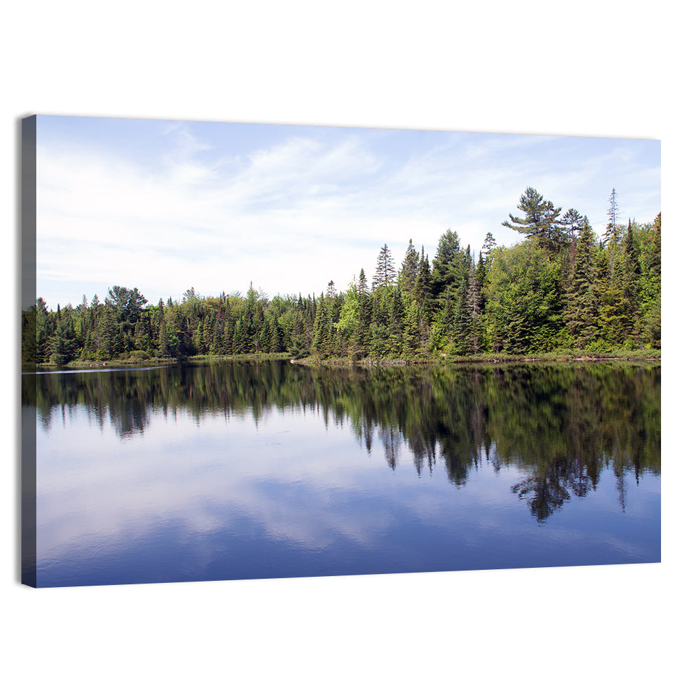 Peck Lake Shoreline Reflection Wall Art