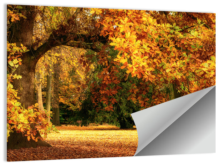 Autumn Park Oaks Wall Art as a poster print