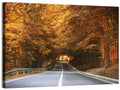 Autumn Forest Road with Canopy Wall Art