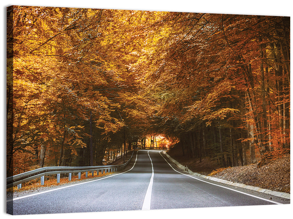 Autumn Forest Road with Canopy Wall Art, canvas print, landscape