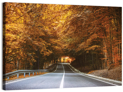 Autumn Forest Road with Canopy Wall Art