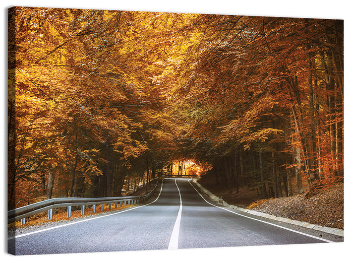 Autumn Forest Road with Canopy Wall Art as a canvas print