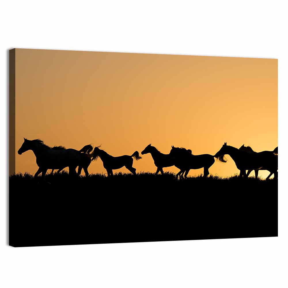 Arabian Horse Silhouettes at Sunset Wall Art