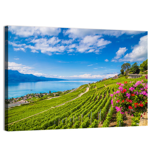 Lavaux Wine Region Wall Art