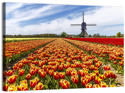 Windmill Over Tulip Fields Wall Art