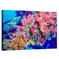 Vibrant Coral Reef Wall Art