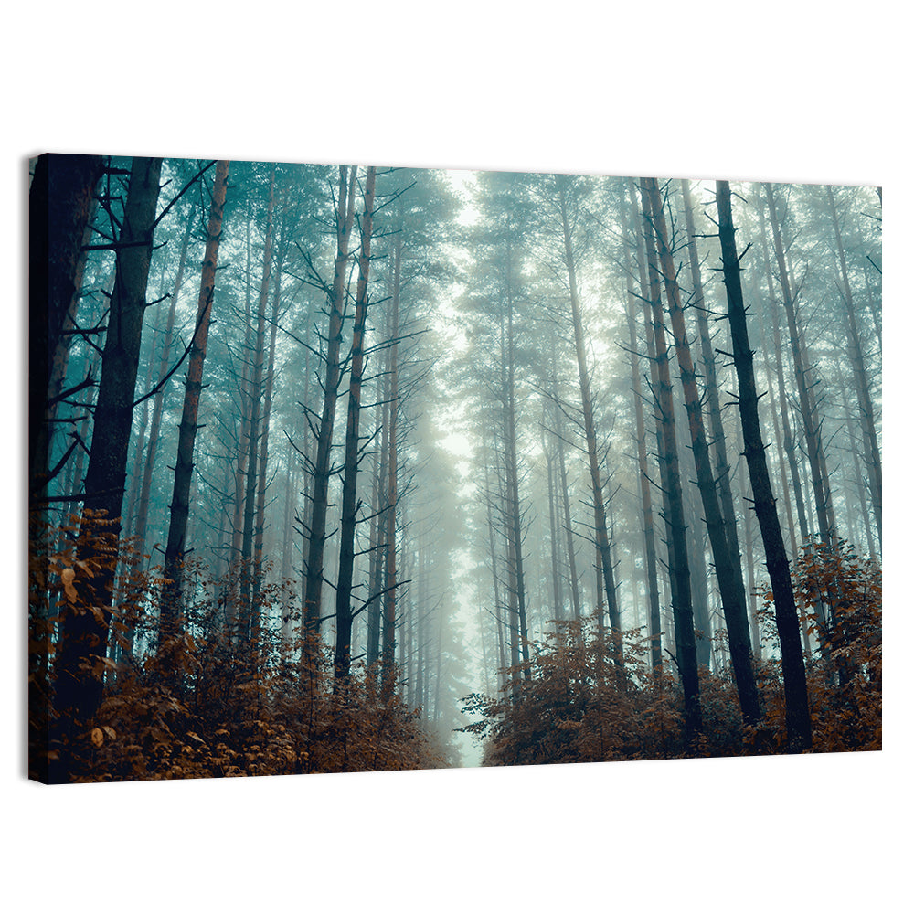 Misty Pine Forest Wall Art