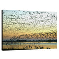 Snow Geese Over River Wall Art