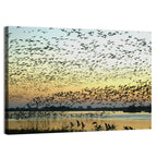 Snow Geese Over River Wall Art