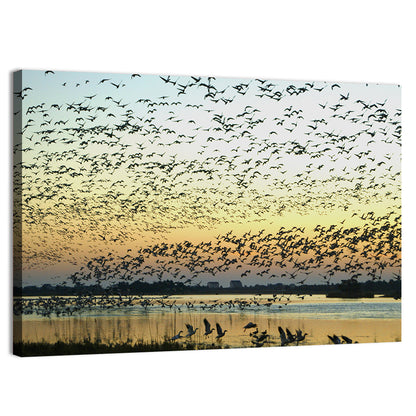 Snow Geese Over River Wall Art